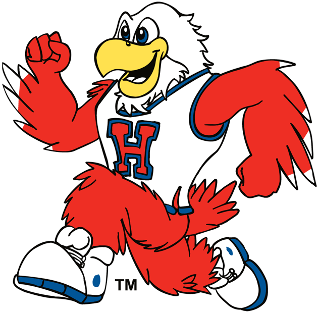Hartford Hawks 1984-Pres Mascot Logo t shirts DIY iron ons